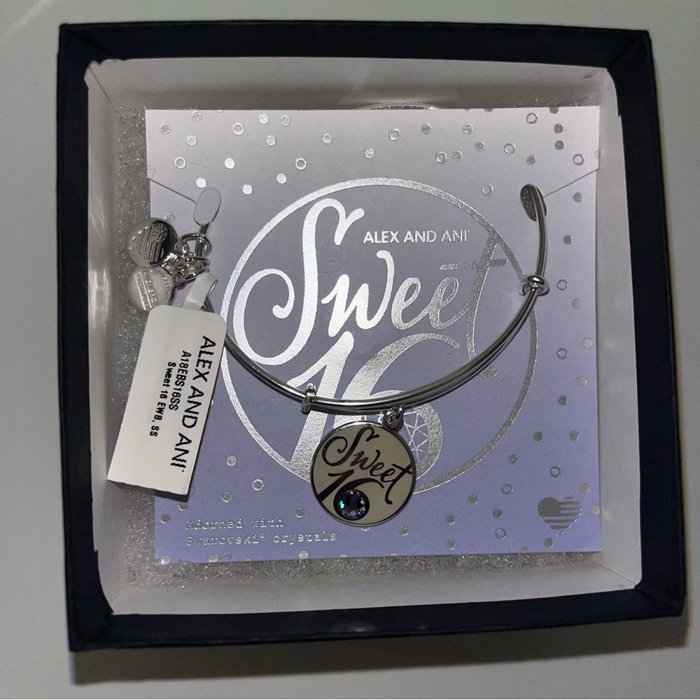 NWT Alex and Ani Silver Sweet 16 Charm Bracelet